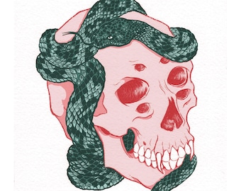 Envy Skull and Snake Illustration Art Print