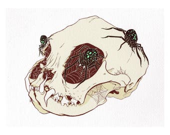 Sloth Persian Cat Skull with Spiders Print