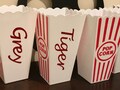 Name Personalization Reusable Plastic Popcorn Buckets | Plain Buckets | Popcorn Party | Circus Party Theme | Popcorn Buckets Favors