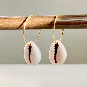 Simple Shell Earrings, Gold Plated Tiny Shell Earrings, Minimalist Shell Earrings, Cowrie Shell Earrings, Shell Hoop Earrings, Hoop Earrings