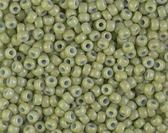 4mm 23 Grams Smooth Finish Fast Ship Opaque Green Seed Beads SB016 2 and 6 Full Strands 60 Olive Green Czech Glass Seed Beads