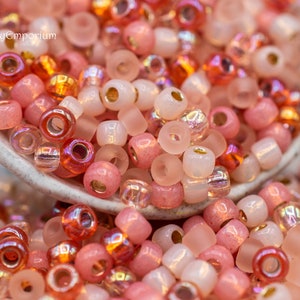 Seed Bead Mix - Glass Beads - Mixed Brand Seed Bead Mix - 6/0 Softly Salmon Exclusive Seed Bead Mix, 7031