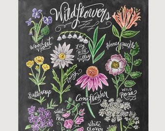 Chalk Art - Floral Art - Wildflower Field Guide Print - Wall Decor - Flower Illustration - Chalkboard Print - Chalkboard Art