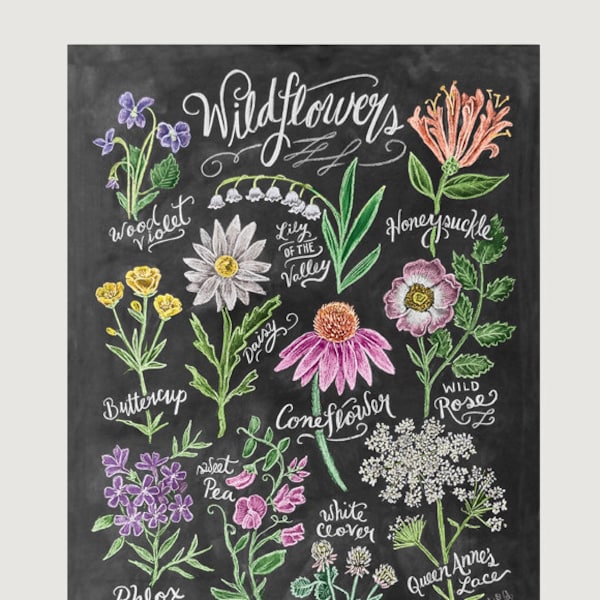 Chalk Art - Floral Art - Wildflower Field Guide Print - Wall Decor - Flower Illustration - Chalkboard Print - Chalkboard Art