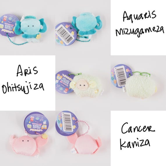NEW! 01-12 Constellation Tsuburana Hitomi No Zodiac Sign Plush