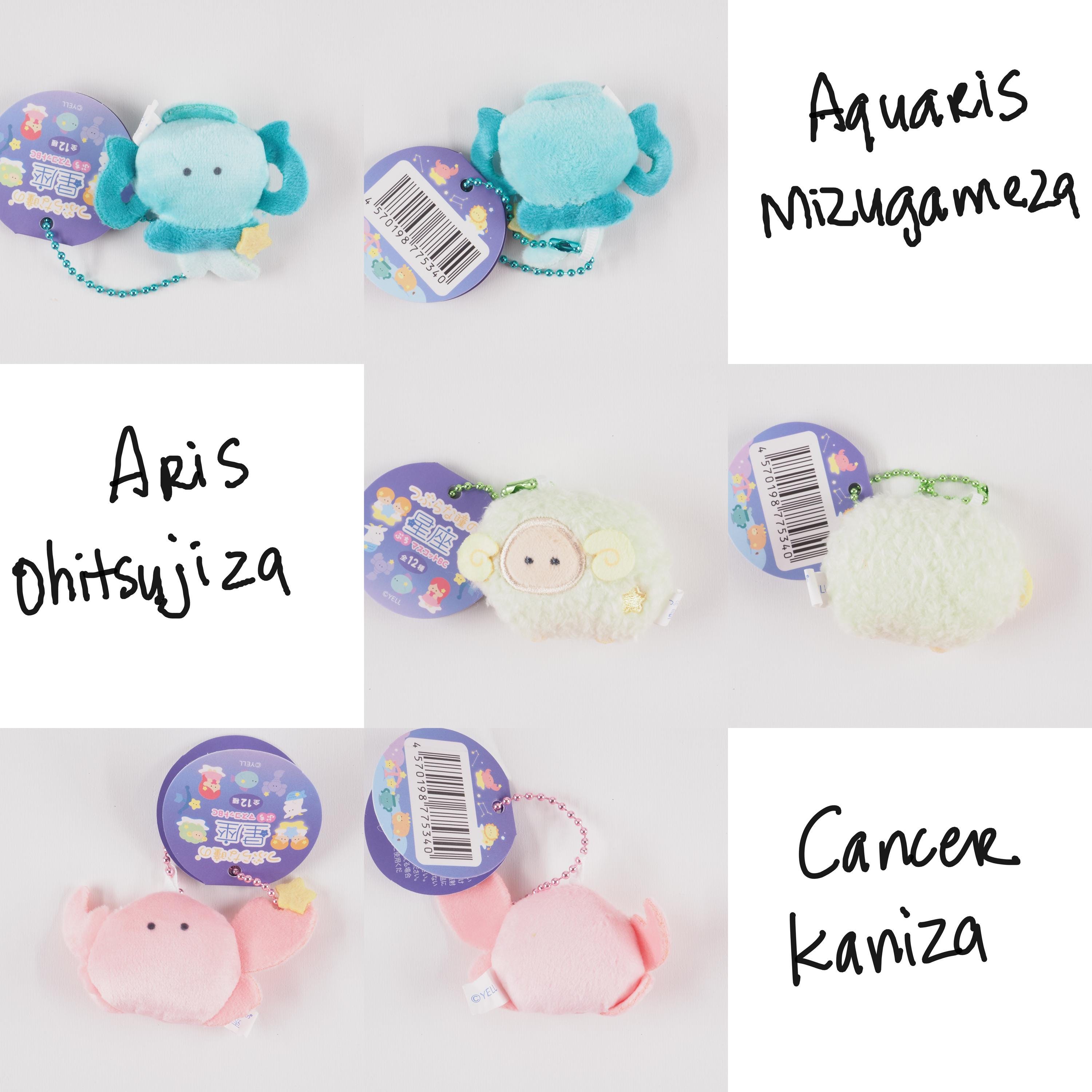 NEW! 01-12 Constellation Tsuburana Hitomi No Zodiac Sign Plush