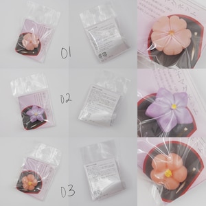 Wagashi Japanese Sweet confectionery fake food magnet
