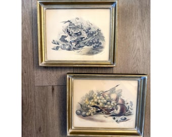 Vintage P.J. Ferrand Bird Fruit Floral Lithograph Prints Gold Frames Set 2