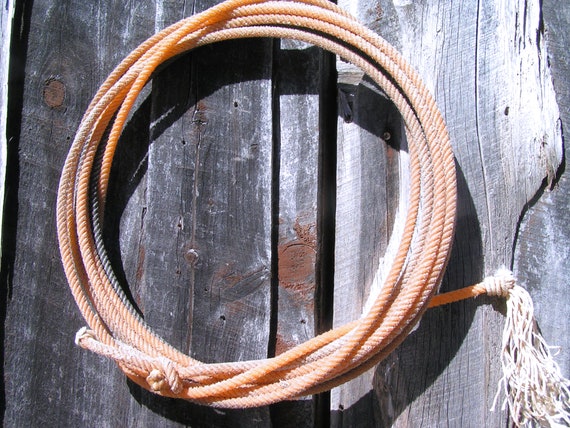 Riata rope 2024