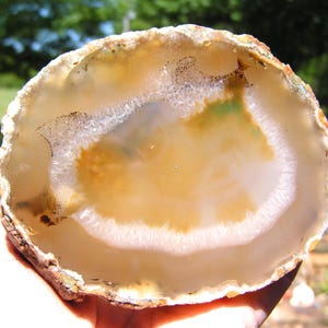 May include: A polished agate stone slice with a natural, organic shape. The stone features concentric bands of tan, white, and orange hues, with a translucent center. The outer edge has a rough, textured appearance, showcasing the stone's natural formation.