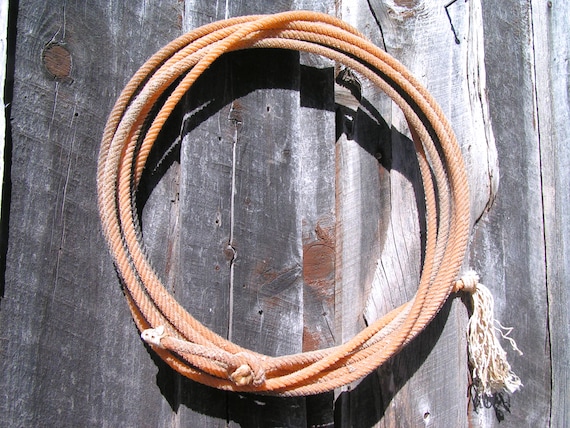 Old Cowboy Lasso , retired Riata Lariat Rope Western Wall Hang