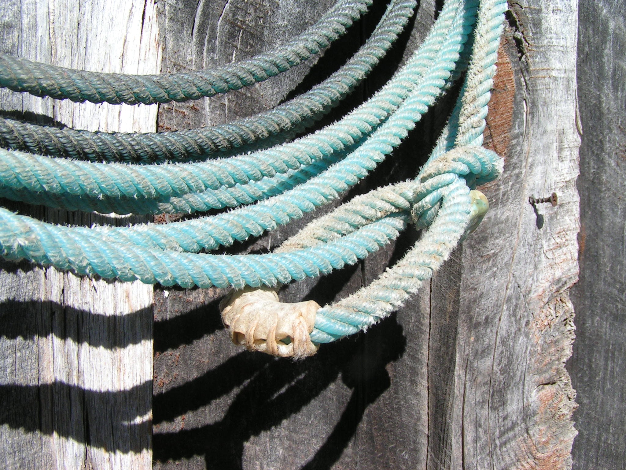 Old Cowboy Lariat Rope, Western LASSO Wall Hang Decor, #QR - Etsy