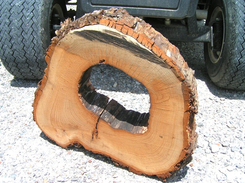 Live Edge Pecan Round Wood Slab for Carving Wood Burning Etsy