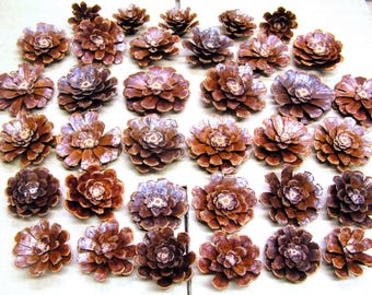 35 Pine cone flowers, Cleaned, baked, trimmed, sealed, slices and pinecone zinnia daisy pieces for crafts, wreaths, crafting, GMJ