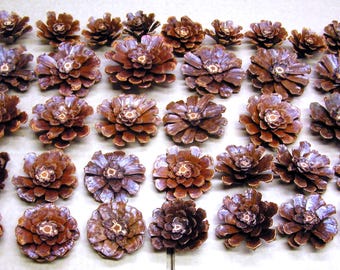 35 Pine cone flowers, Cleaned, baked, trimmed, sealed, slices and pinecone zinnia daisy pieces for crafts, wreaths, crafting, IAD