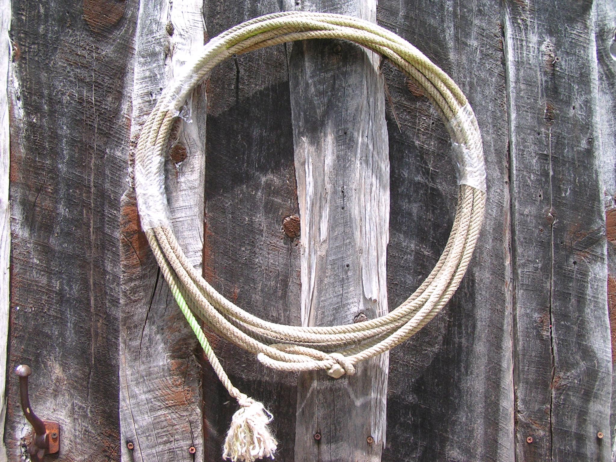 Old Cowboy Lasso , 
