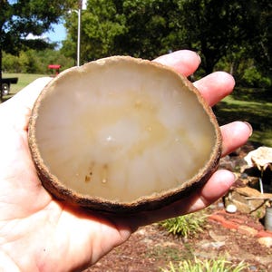 Polished Brazilian Agate Slab slice, 3/4" thick, 2B