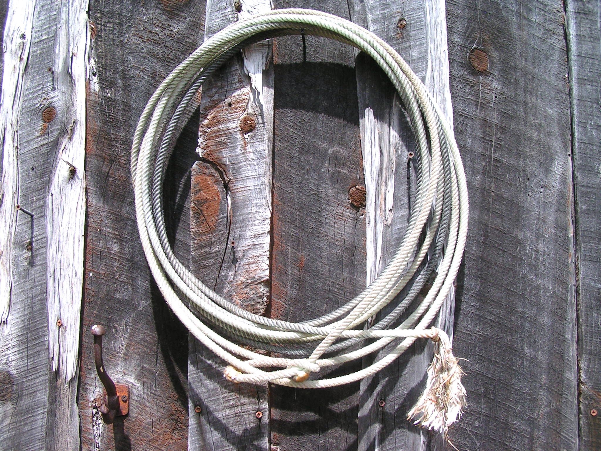 Old Cowboy Lasso , Retired Riata Lariat Rope Western Wall Hang 