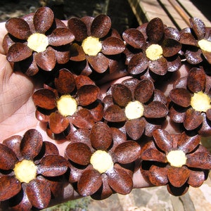TEN rusty metal rose flowers for accents, embellishments, crafting, jewelry, art projects, woodworking, furniture, arrangements, flat