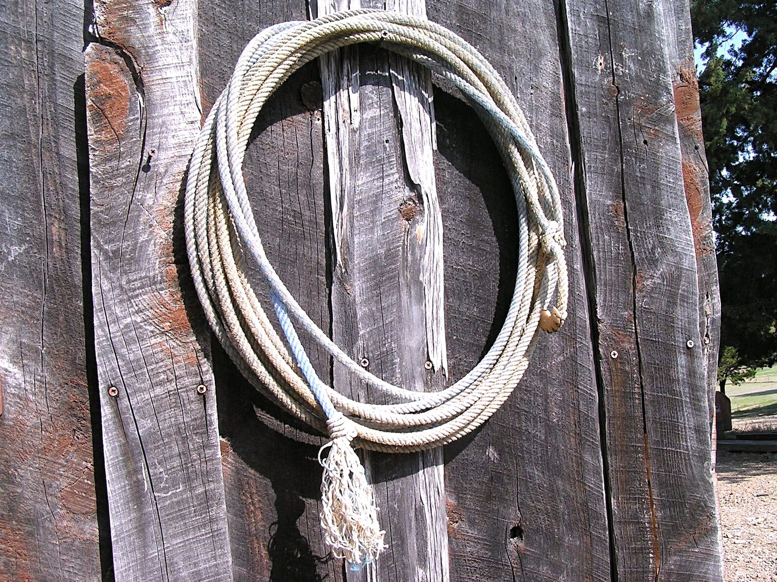 Old Cowboy Lariat Rope Western LASSO Wall Hang Decor 437 Etsy