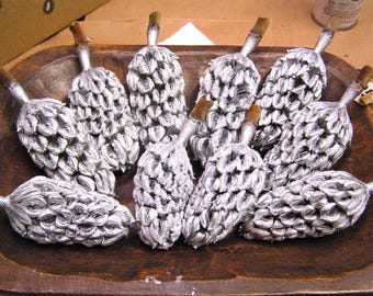 Silver Magnolia Tree Seed Pods, Heat Dried, Sealed, Wreath and Craft Supplies (10 Pods)