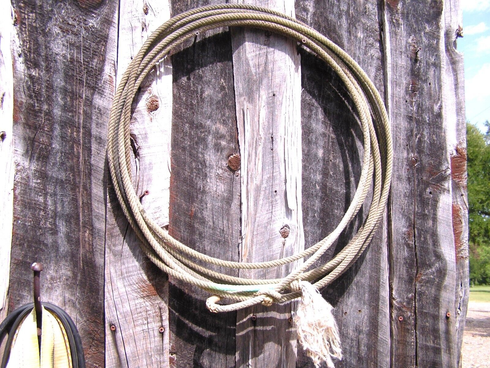 Argentine BRAIDED RAWHIDE 46' LARIAT Lasso Rodeo Ranch Gaucho Leather  Western !!