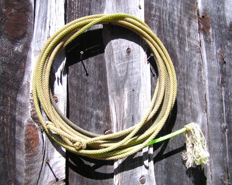 Puede incluir: Un lazo de cuerda amarillo está enrollado y colgado en una pared de madera desgastada. La cuerda está atada en el extremo y tiene un borla verde.