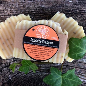 SUNSHINE SHAMPOO-Mechanical Hands & Grime Degreaser-Dries out Poison Ivy-Hair-