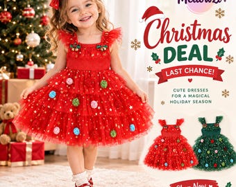 Princess Dress for Kids on Christmas, Sheer Tulle Flower Girl Dress, Frocks for Kids