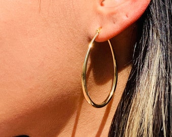 May include: A pair of gold hoop earrings with a slightly oval shape.