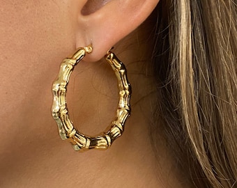 May include: Gold hoop earrings with a bamboo design.