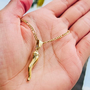 18k Gold Filled Italian Horn Necklace,Italian Cornicello Gift for Men,Italian Amulet Necklace for Husband,Italian Jewelry,Italian Amulet