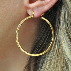 May include: Gold hoop earrings with a hinged closure.