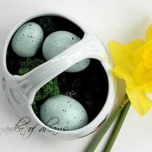 May include: A white ceramic basket with a handle, filled with green moss and four blue speckled eggs. The basket is sitting on a white surface next to a yellow daffodil.