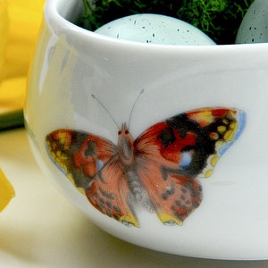 May include: A white ceramic bowl with a butterfly design. The bowl is filled with moss and blue speckled eggs.