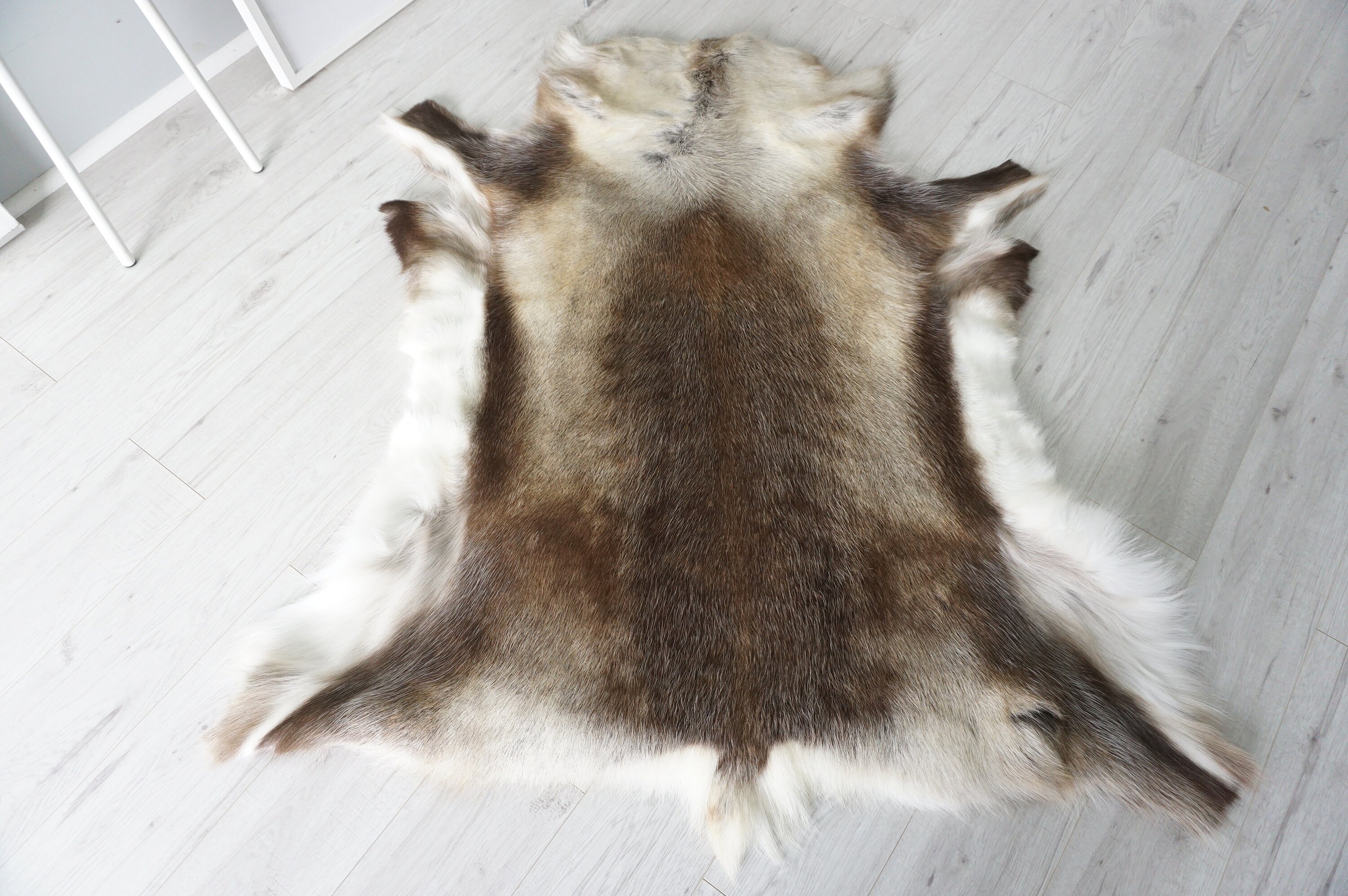 Genuine Scandinavian Reindeer Pelt Rug Reindeer Rug Etsy