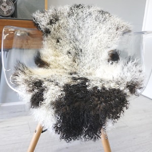 Genuine Single Mongolian Tibetan Real Sheepskin Rug | Natural Curly Wool Throw | Luxurious Gift for Home Sofa or Bedroom Decor | Fluffy Pelt