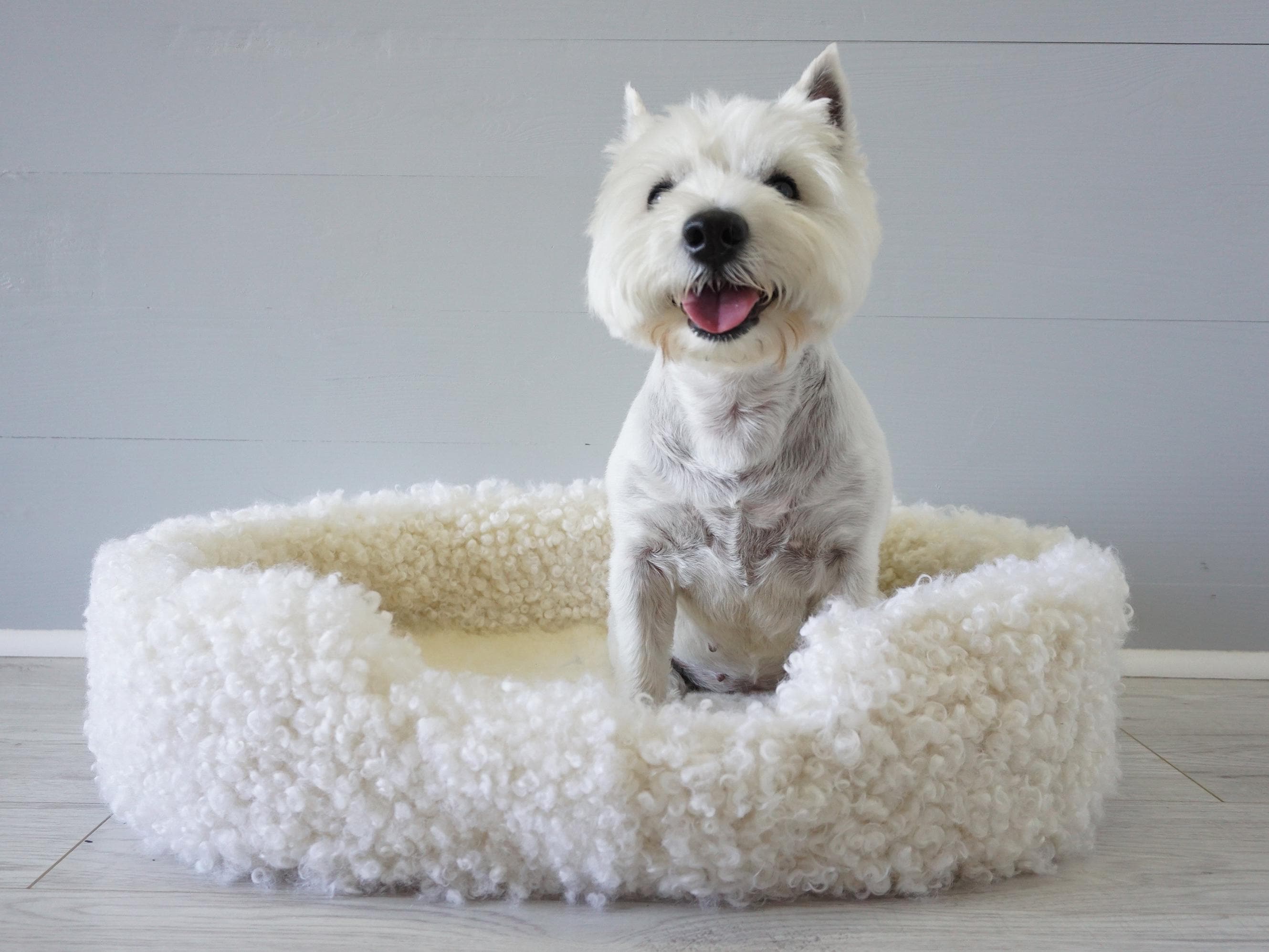 Genuine Sheepskin Oval Pet Bed Wool Dog/Cat Bed | 23.6"/60cm