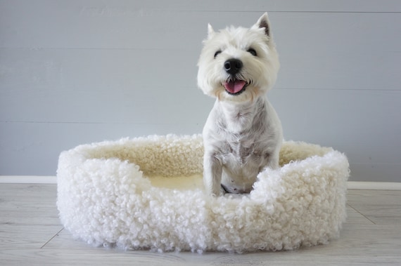 Large oval dog best sale bed