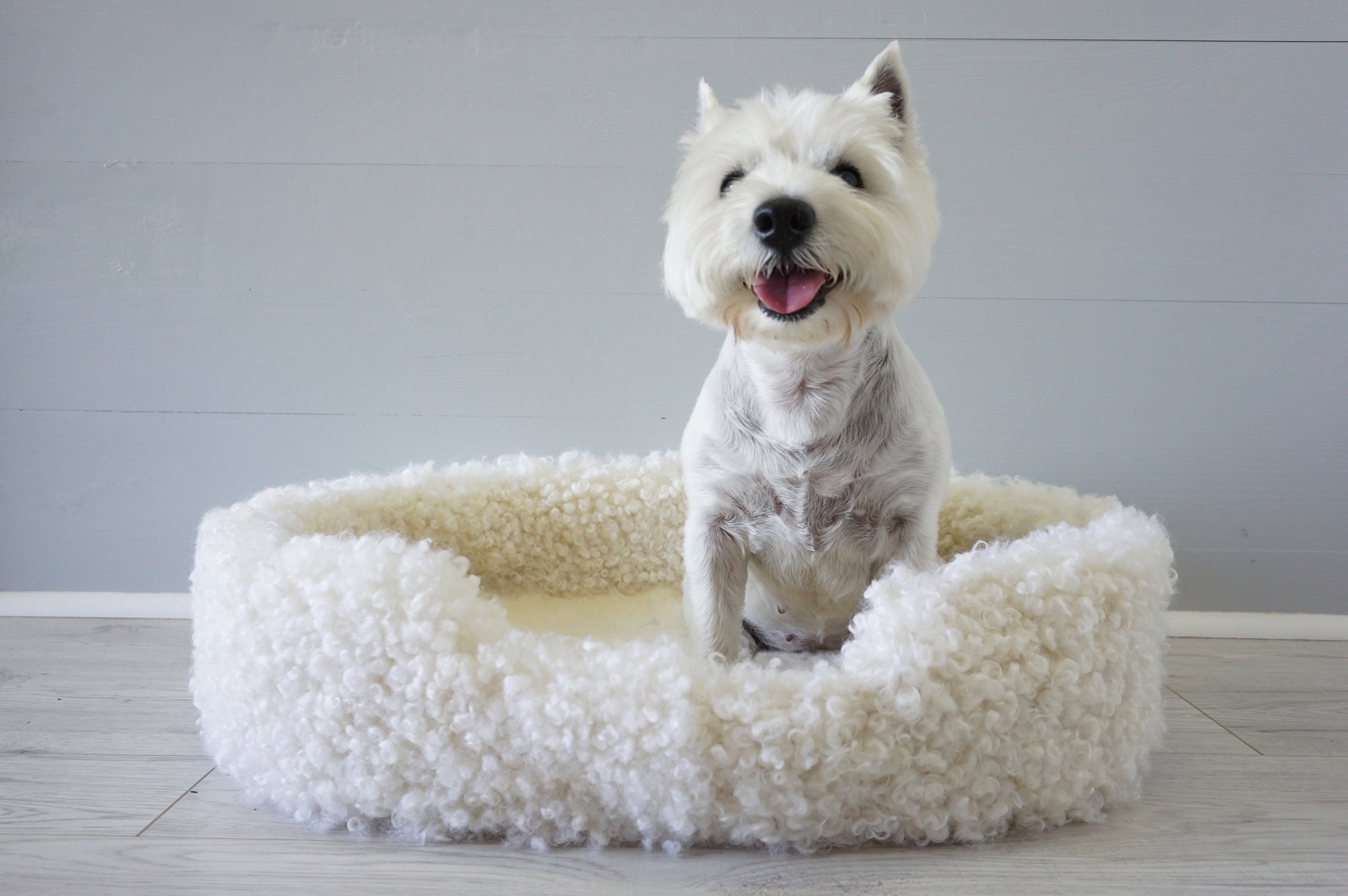 Lambskin clearance dog bed