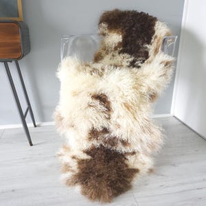 Genuine Double Mongolian Tibetan Real Sheepskin Rug | Natural Curly Wool Throw | Luxurious Gift for Home Sofa or Bedroom Decor | Fluffy Pelt