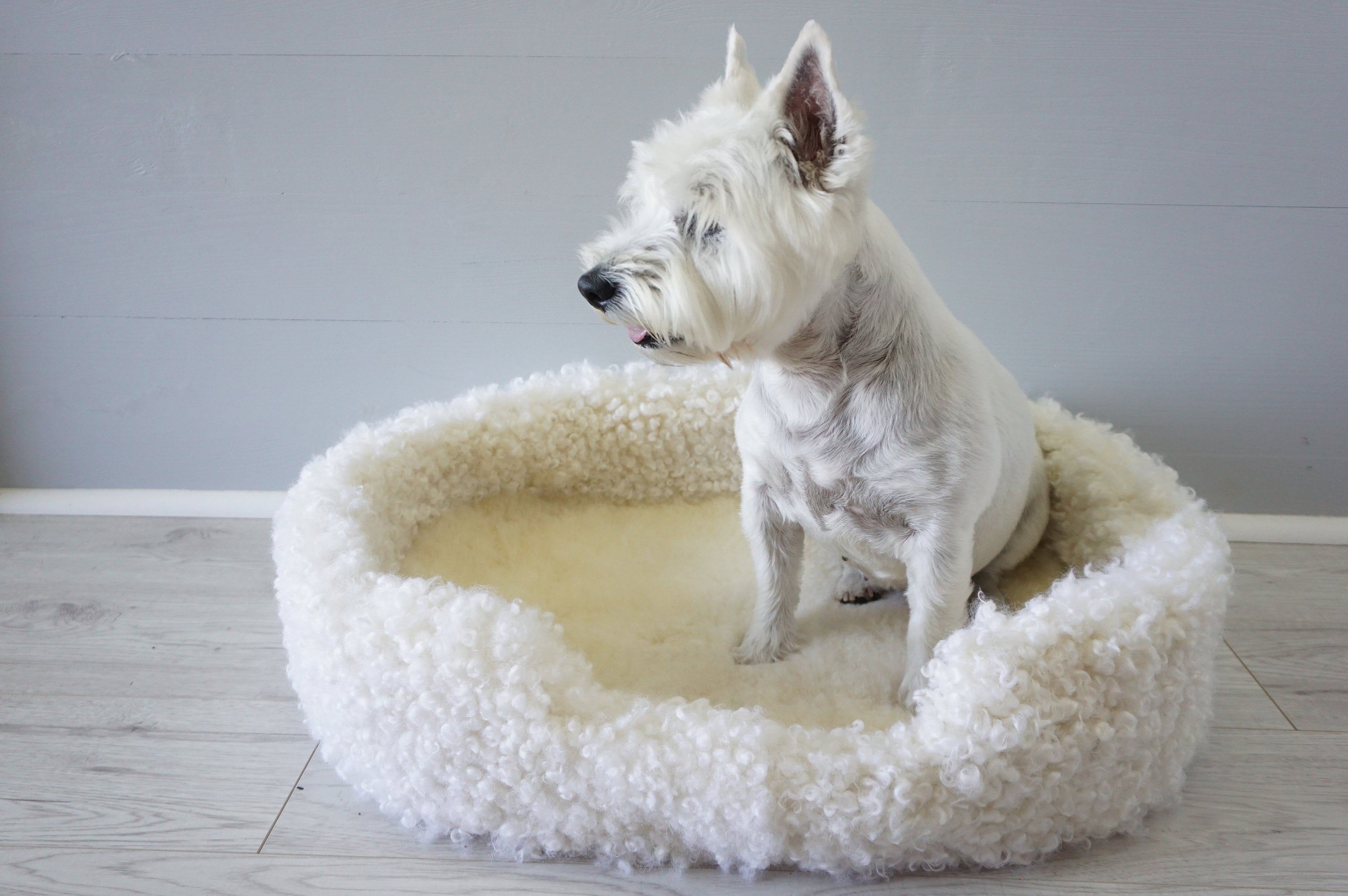 Genuine Sheepskin Large Oval Pet Bed Wool Dog Bed Puppies Etsy