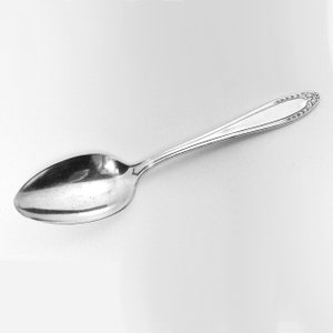Oneida Community Par Plate Serving Spoon Bridal Wreath Pattern