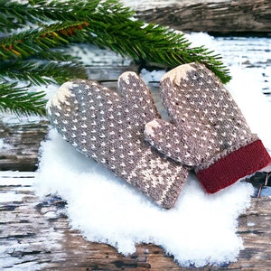 Könnte beinhalten: Ein Paar braune und weiße Strickhandschuhe mit rotem Bündchen, die auf einer schneebedeckten Holzoberfläche mit einem Kiefernzweig im Hintergrund liegen.