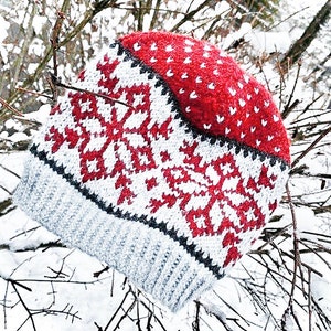 Può includere: Un cappello di lana rosso e bianco con un motivo a fiocco di neve. Il cappello è appeso a un ramo innevato.
