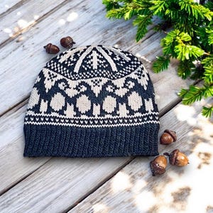 May include: A navy blue and cream-colored knit hat with a geometric pattern. The hat features a ribbed brim and a detailed design across the crown. Acorns and evergreen branches are in the background.