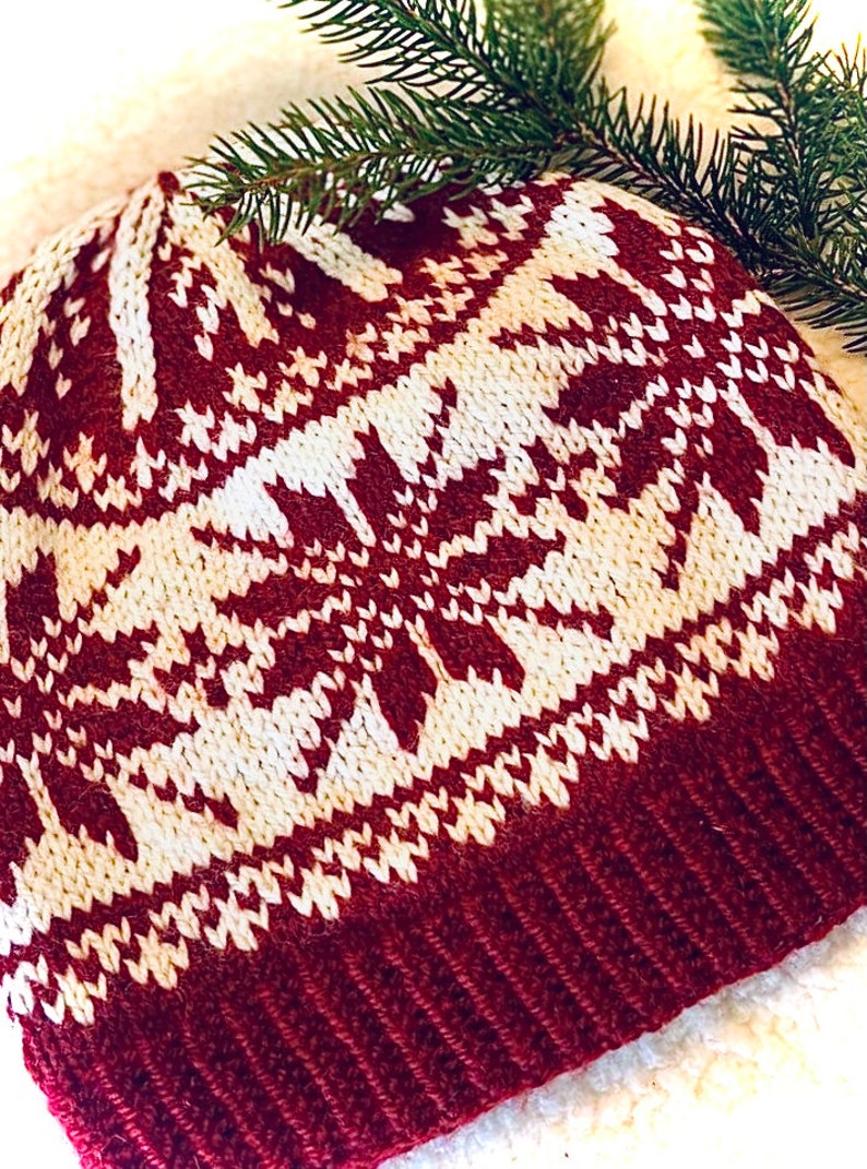 May include: A knitted winter hat in burgundy and cream. The hat features a repeating snowflake pattern in cream against a burgundy background. The brim is a solid burgundy color. A sprig of evergreen is in the background.