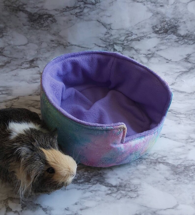 Guinea Pig Bed Guinea Pig Cuddle Cup Hedgehog Bed Hedgehog Etsy
