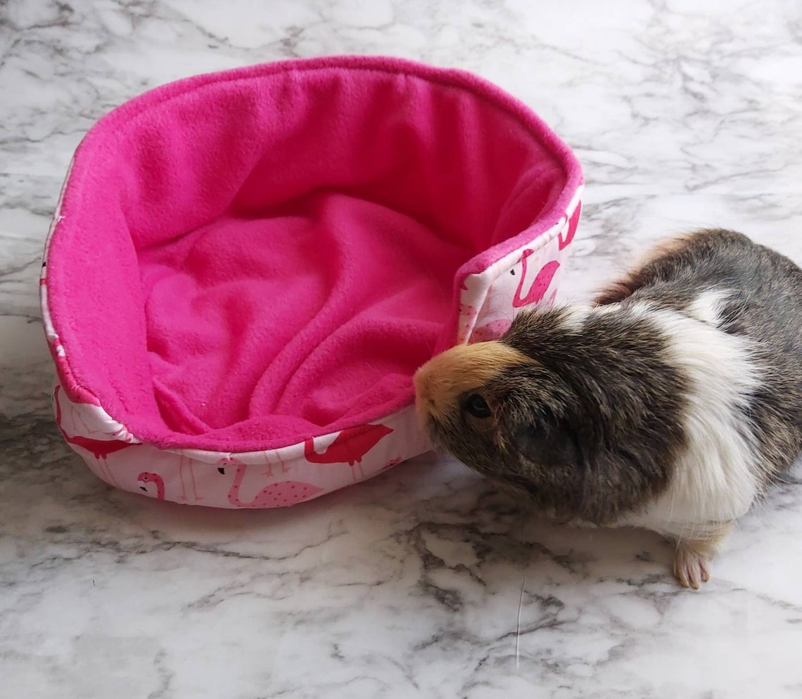 Guinea Pig Bed Guinea Pig Cuddle Cup Hedgehog Bed Hedgehog Etsy