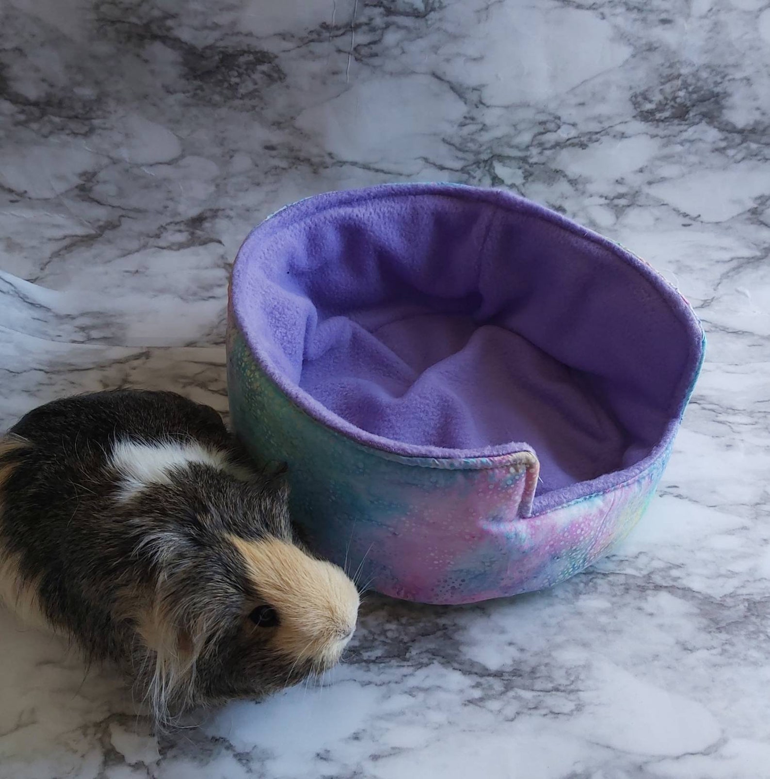 Guinea Pig Bed Guinea Pig Cuddle Cup Hedgehog Bed Hedgehog Etsy